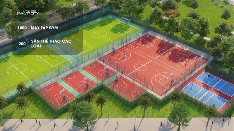 san-the-thao-1024x576